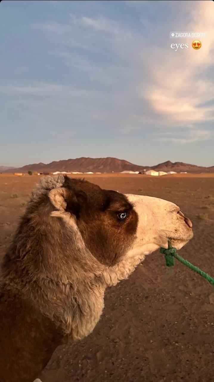 Hotel Bivouac Zagora Exteriér fotografie