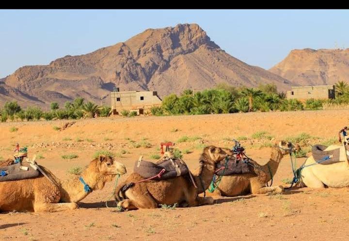 Hotel Bivouac Zagora Exteriér fotografie