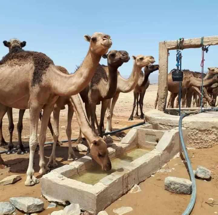 Hotel Bivouac Zagora Exteriér fotografie